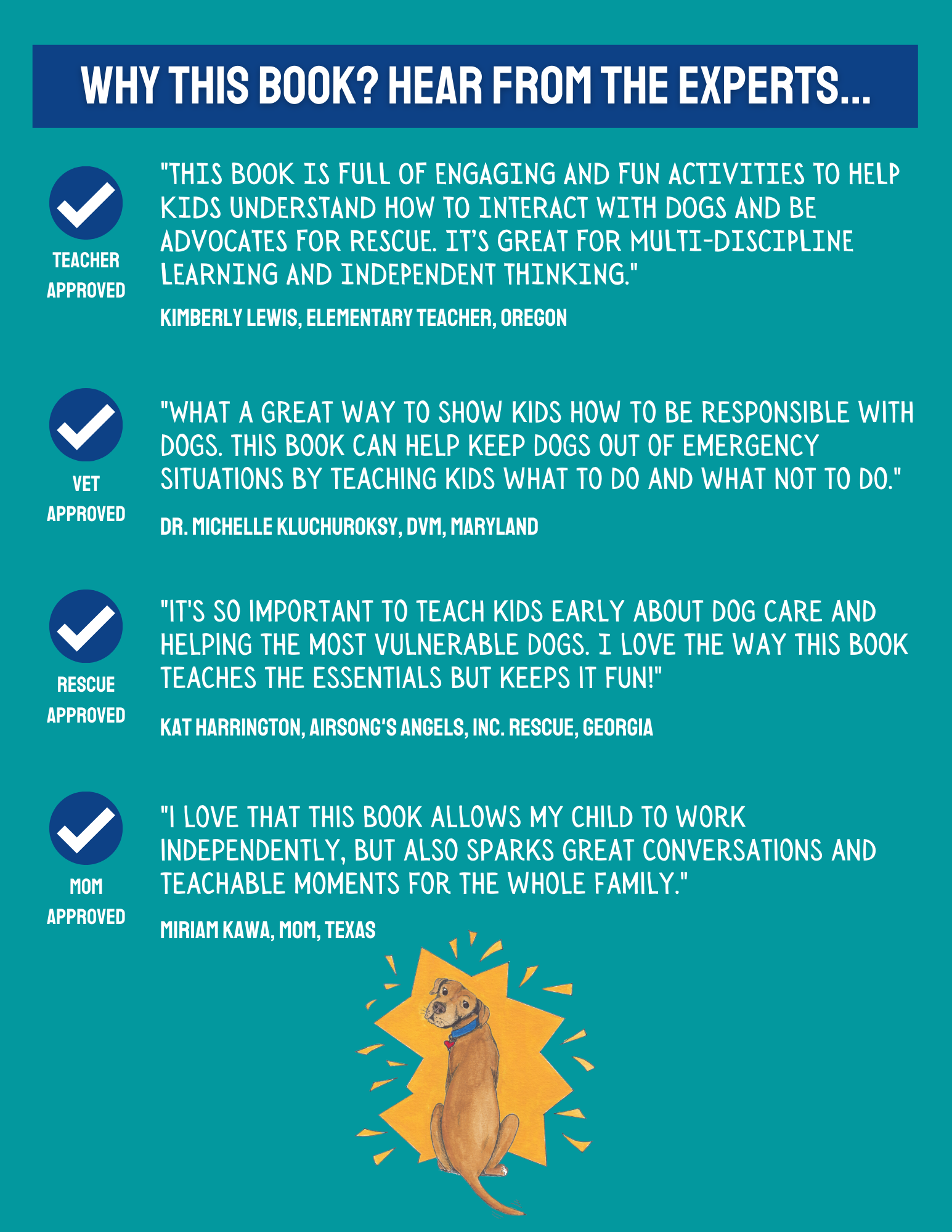 Fun with Finn Activity Book: All About Dogs - Image 2